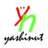yashinut, profile picture