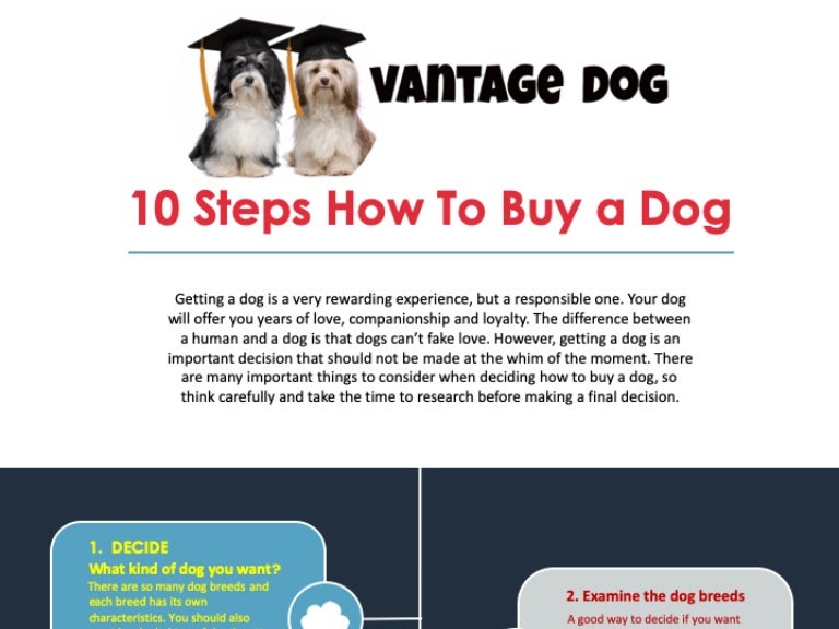 10 Steps How To Buy a Dog [Infogrphic]