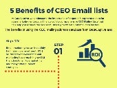 5 benefits of DataCaptive's ceo email lists