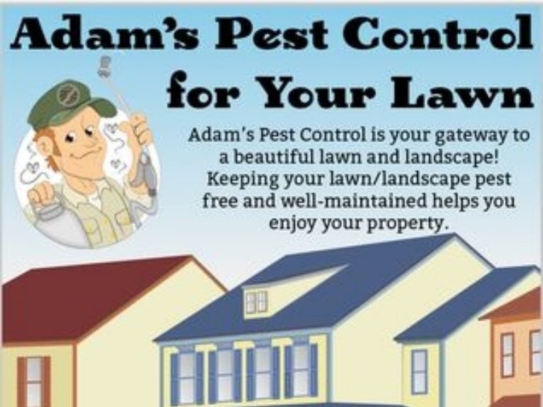 Adam’s Pest Control for Your Lawn