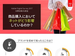 Adobe Digital Survey 2017 Retail