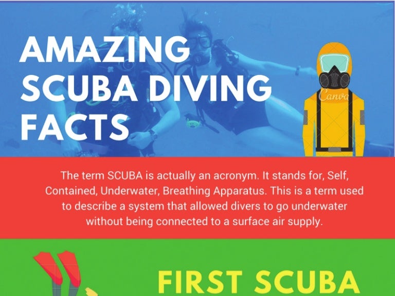 Amazing scuba diving facts by tripraja