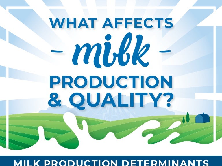 What Affects Milk Production and Quality