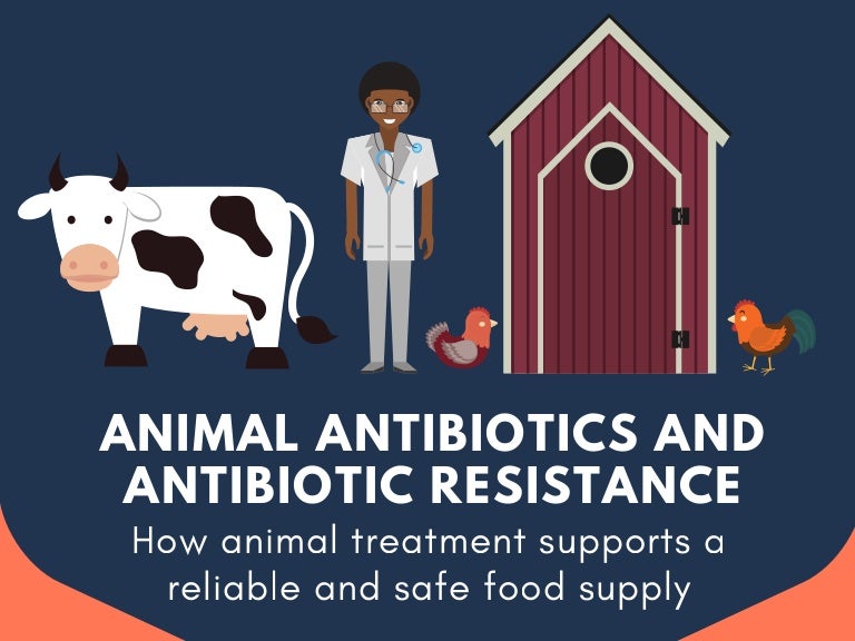 Animal Antibiotics and Antibiotic Resistance