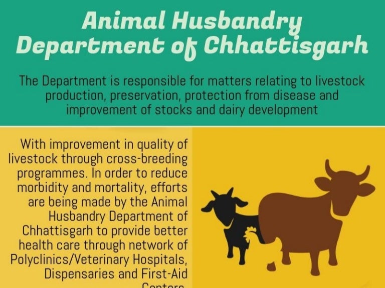 Animal Husbandry Department