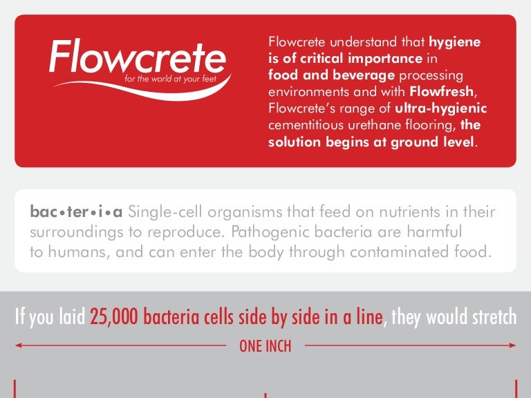 Bacteria in Food Processing Environments [Infographic]