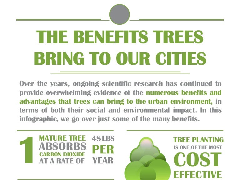 Benefits Trees Bring to Our Cities [Infographic]