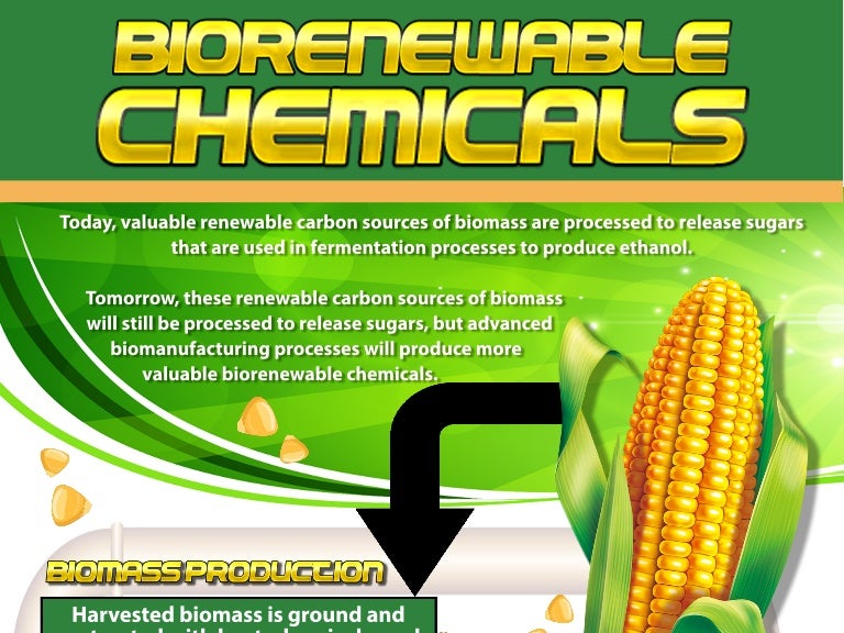 Bio Renewable Chemicals Process Infographic
