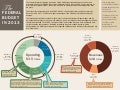 Infographic: The Federal Budget in 2013