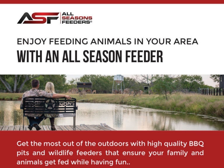 Enjoy Feeding Animals In Your Area With An All Season Feeder