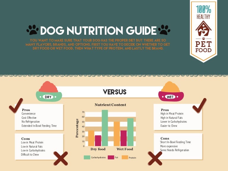 Dog nutrition