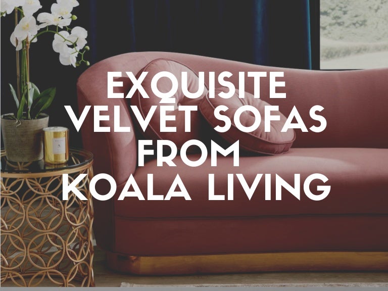 Exquisite Velvet Sofas From Koala Living