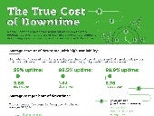Infographic - The True Cost of Down...