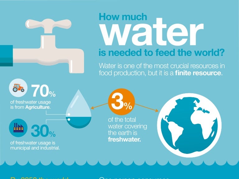 Infographic How much water is needed to feed the world?