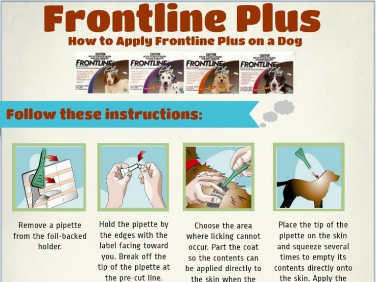 How To Apply Frontline Plus On Dogs