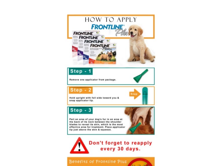 How to Apply Frontline Plus on Dogs