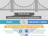 How to Succesfully Scale-Up Automat...