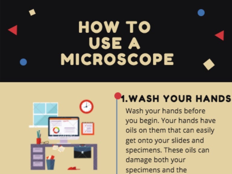 How to use a microscope step by step infographic