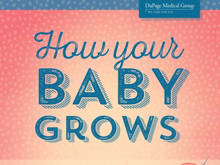 How Your Baby Grows