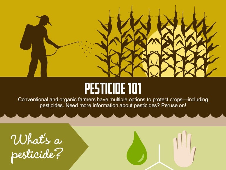 Pesticide 101 [INFOGRAPHIC]