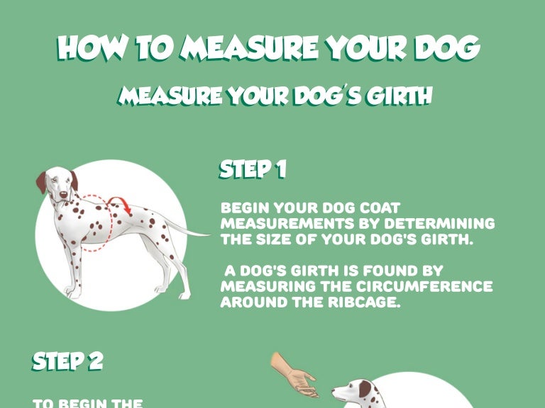 How to measure your dog