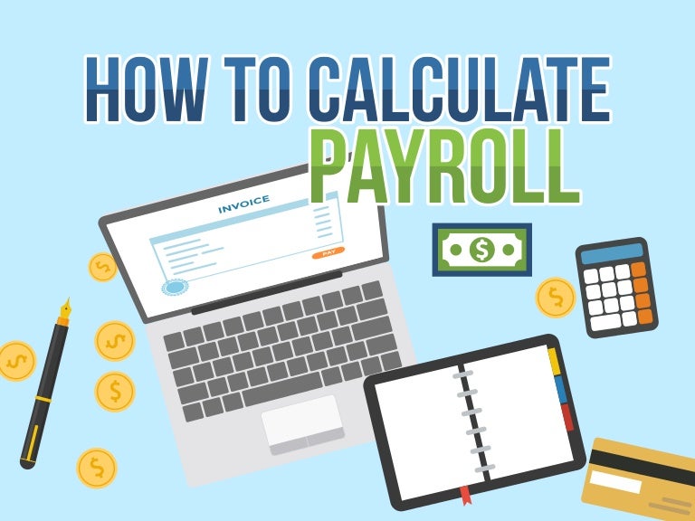 paycheck estimator calculator
