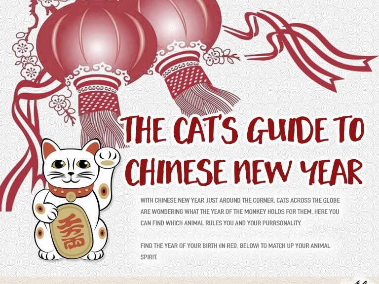 Chinese new year 2017 The Cat's Guide to Chinese New Year INFOGRAPHIC