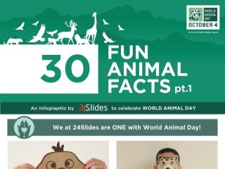Infographic - World Animal Day - 30 Fun Animal Facts pt 1