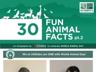 Infographic - World Animal Day - 30 Fun Animal Facts pt 2