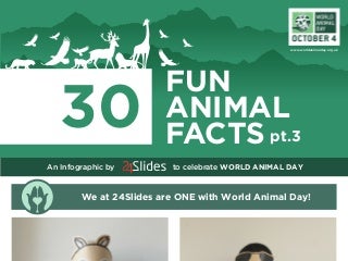 Infographic - World Animal Day - 30 Fun Animal Facts pt. 3