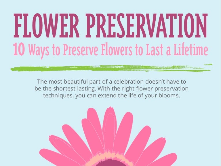 10 Ways To Preserve Flowers