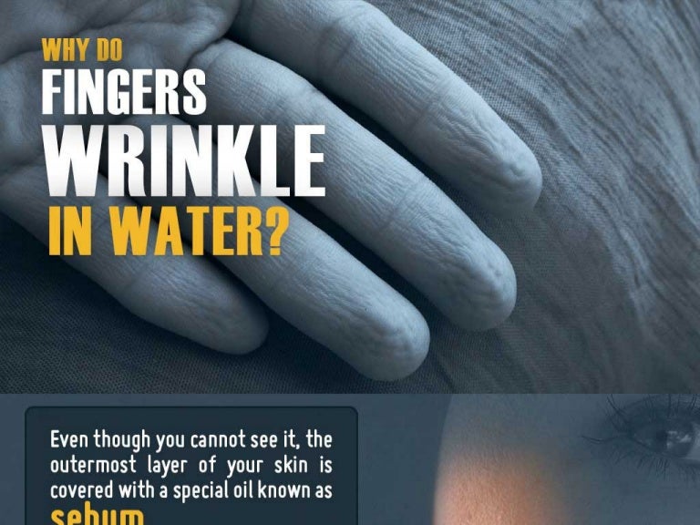 Why do Fingers Wrinkle in Water? Kids