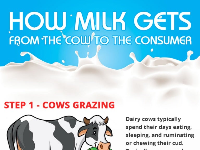 How Milk gets from the Cow to the Consumer Milk processing