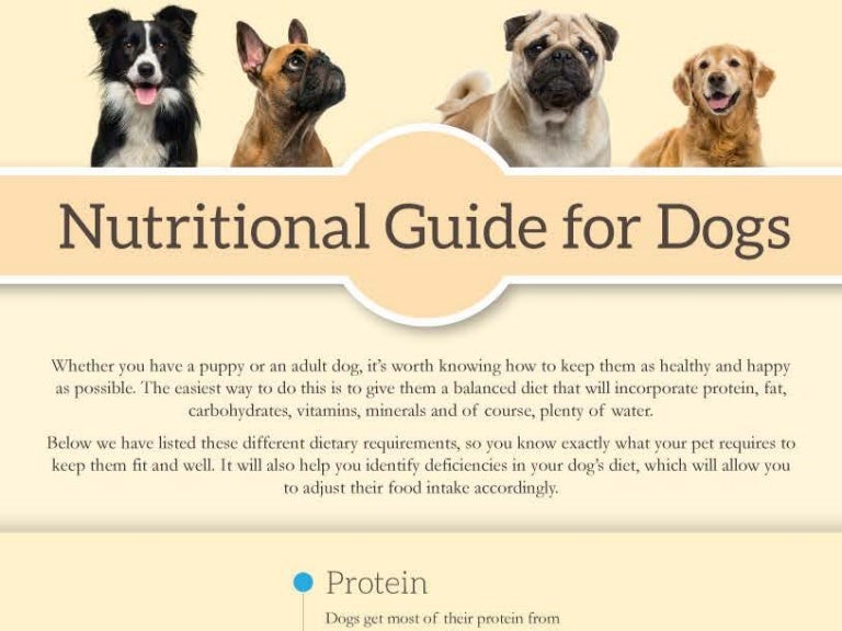 Nutritional guidefordogs