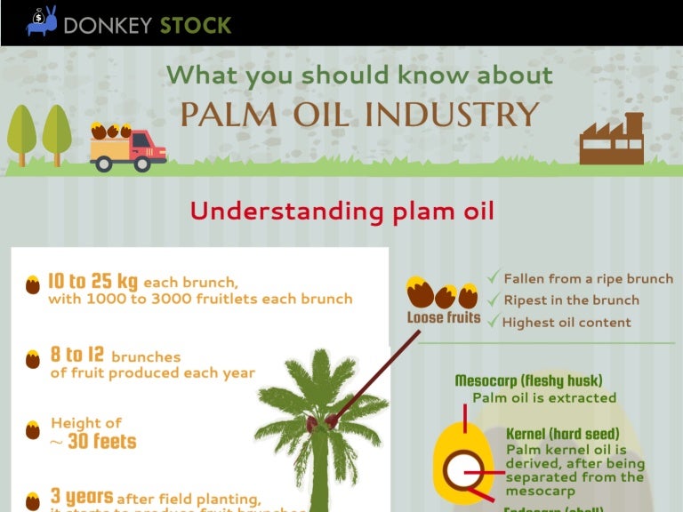 Palm Oil Facts
