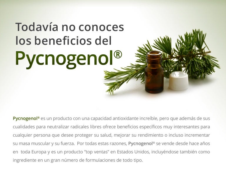 Pycnogenol Un potente antioxidante natural y promotor del óxido nítr…