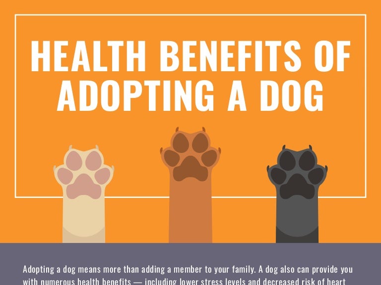 Health Benefits of Adopting a Dog