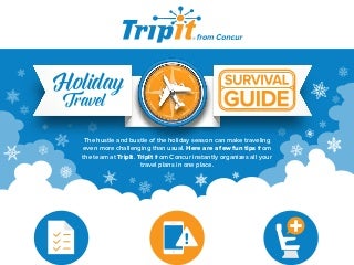 Holiday Travel Survival Guide [Infographic]