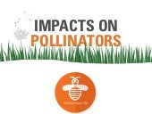 Impacts on Pollinators