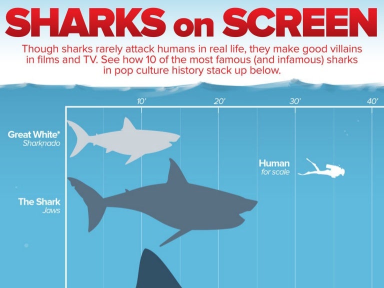How Do the Most Popular Sharks in Pop Culture Stack Up?