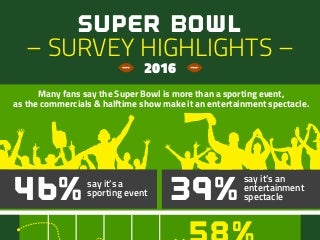 Super Bowl Viewing Highlights