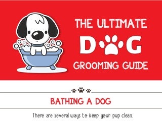 The ultimate dog grooming guide