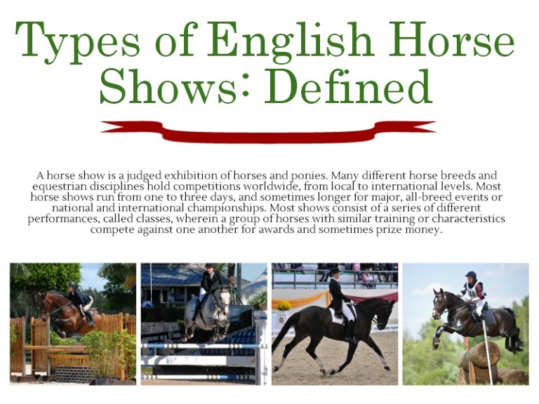 Types of English Horse Shows Defined