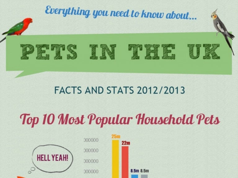 UK Household Pets All You Need To Know