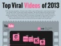 Top Viral Videos of 2013 [INFOGRAPHIC]