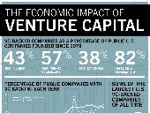 How Much Does Venture Capital Drive...