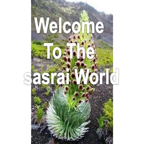 sasrai movement introduction 