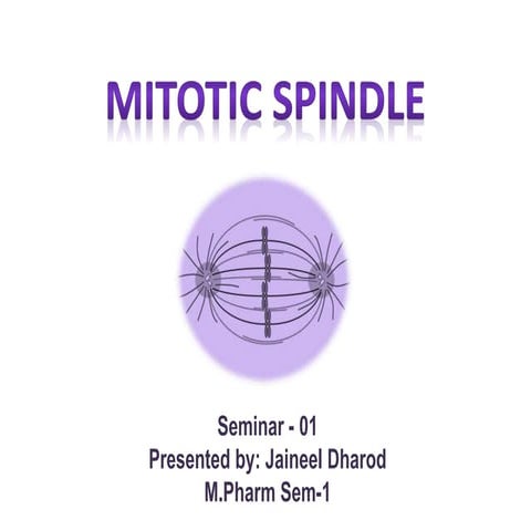 Mitotic spindle