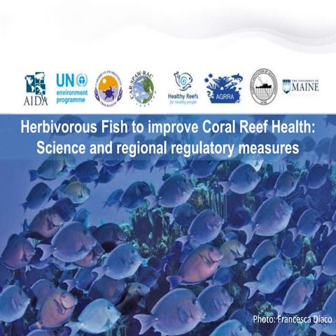 Webinar "Herbivorous Fish to improve Coral Reef Health: Scientific and region...