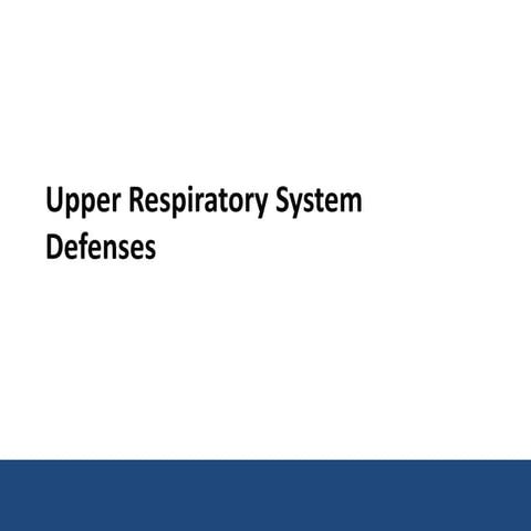 Upper Respiratory Defense